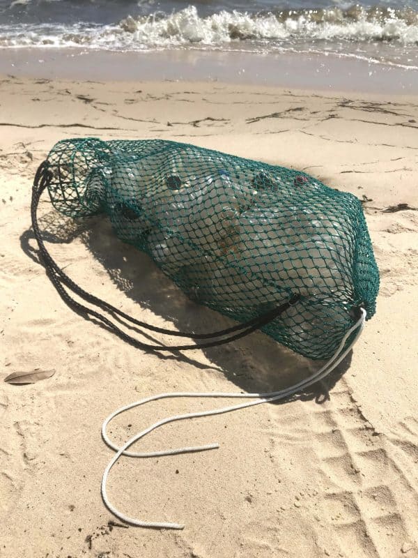 The full Osprey Litter Gitter bag is being held with the beach in the background. It is a bag made of green mesh material with black handles and a cinch bottom, to allow to release litter. It has an opening that stays open so you can easily put litter in it while walking or jogging.